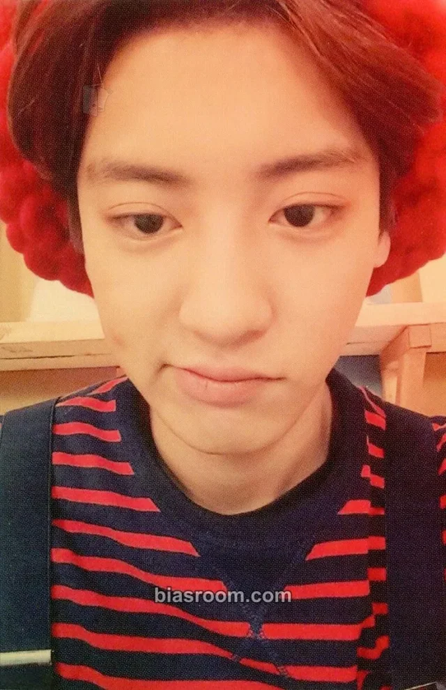 EXO - Chanyeol - EXODUS Album EXODUS album photocard Chinese Ver. korean album