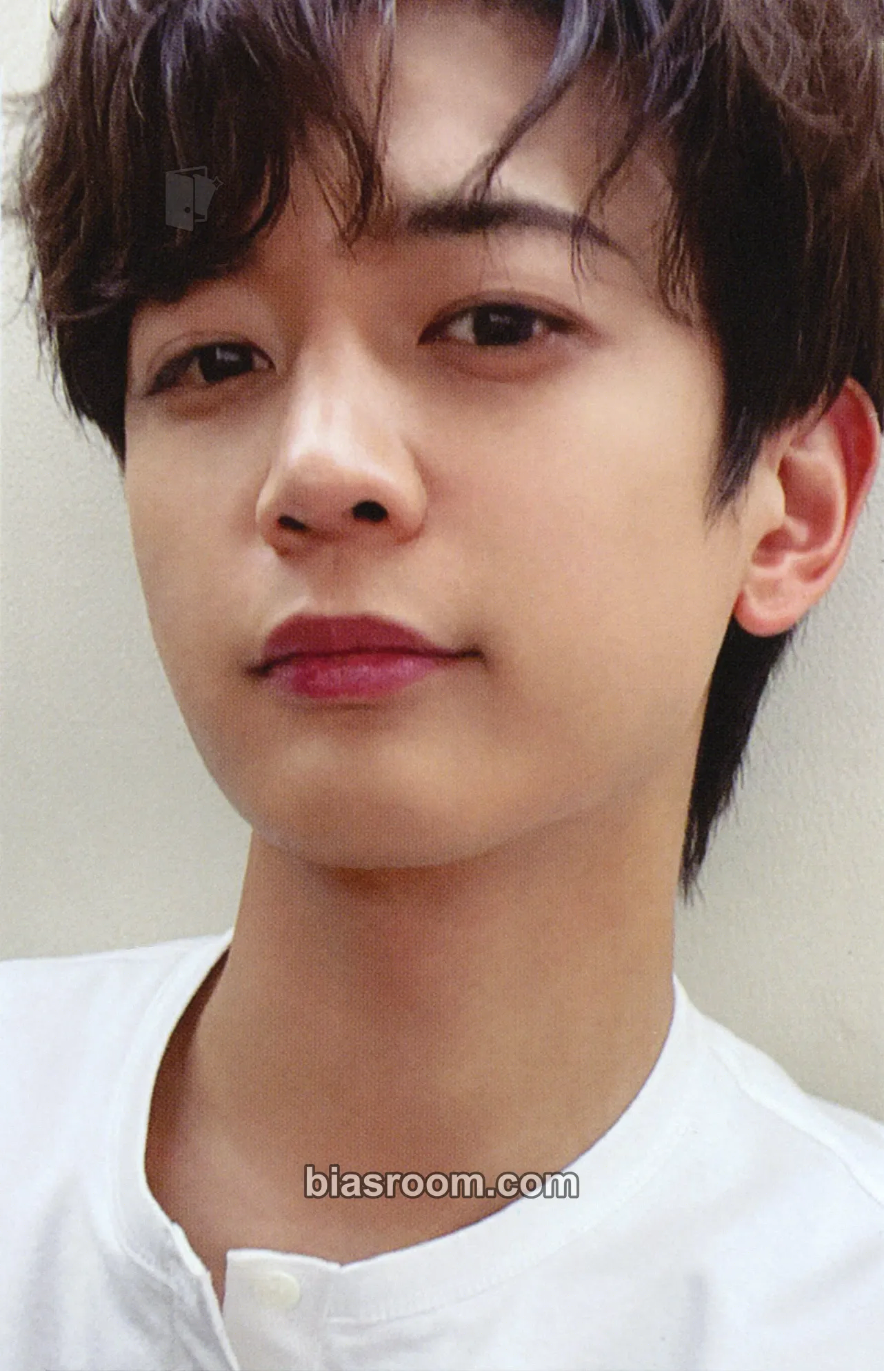 Minho CHASE Photocard - SHINee - SHINee K-pop photocard