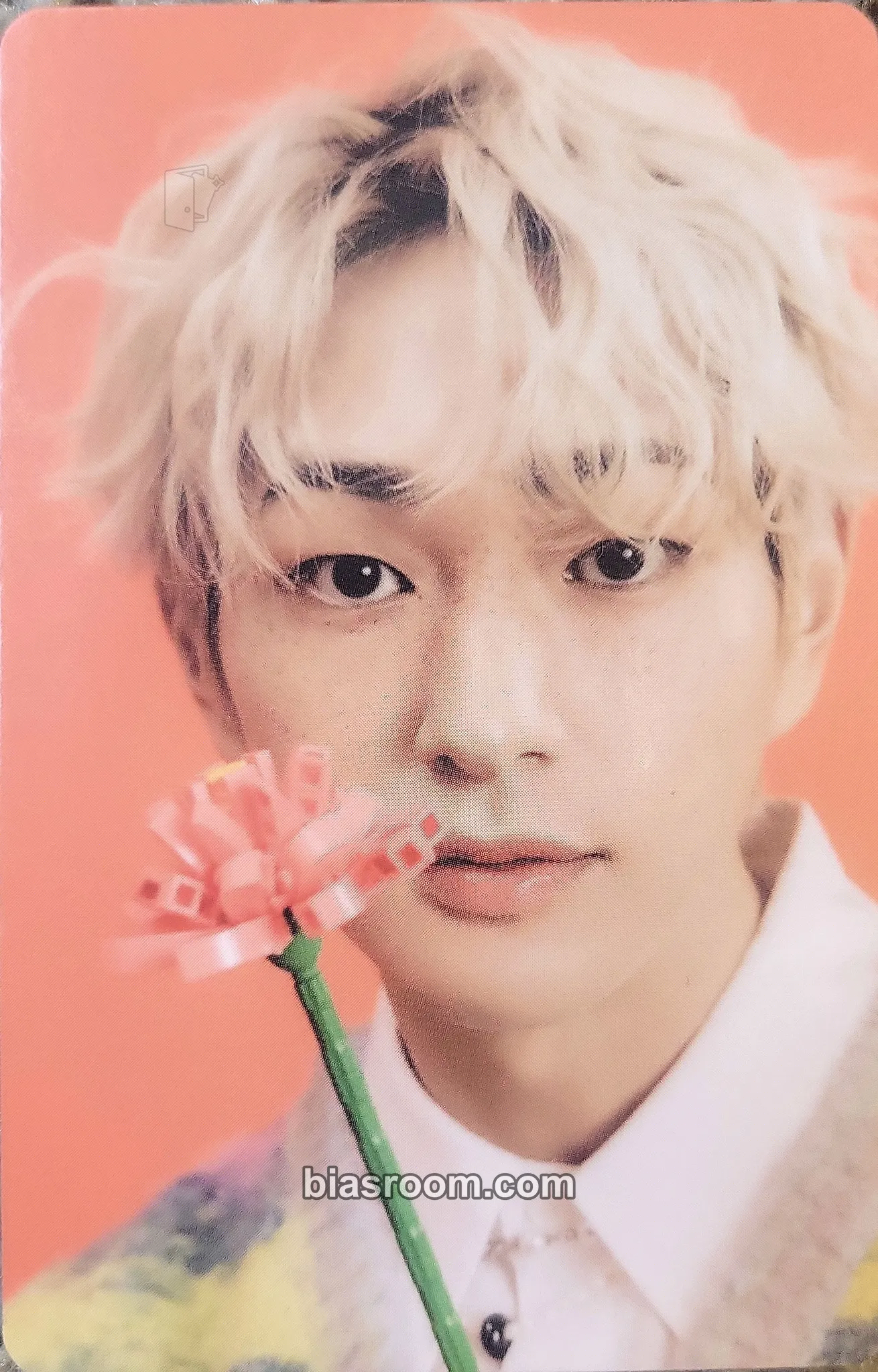Onew SHINee 2023 Season's Greetings Photocard - SHINee - SHINee K-pop photocard
