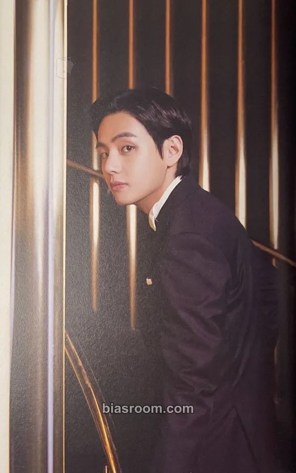 V THE FACT BTS PHOTOBOOK SPECIAL EDITION : WE REMEMBER Photocard - BTS - BTS K-pop photocard