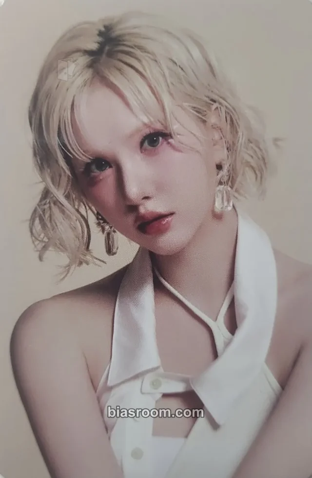 VIVIZ - Eunha - New Legacy World Tour Event trading card merch photocard concept version
