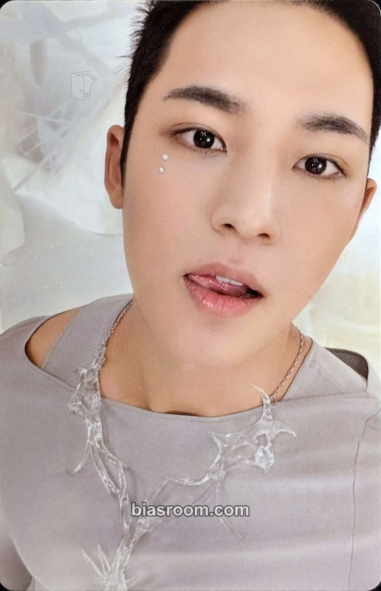Mingyu HAPPY BURSTDAY Photocard - SEVENTEEN - SEVENTEEN K-pop photocard