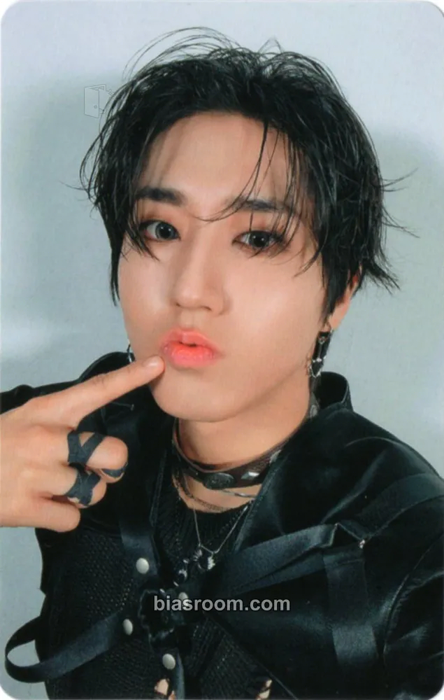 HAN GIANT Photocard - Stray Kids - Stray Kids K-pop photocard