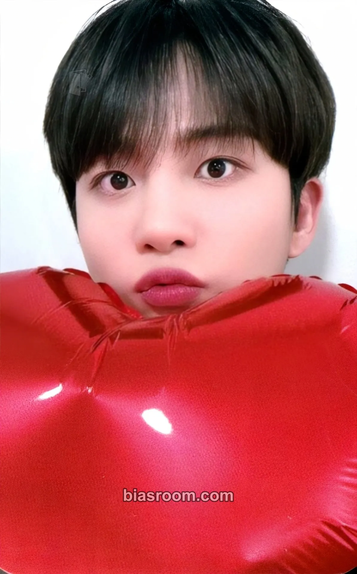 Jongho THE WORLD EP.FIN : WILL Photocard - ATEEZ - ATEEZ K-pop photocard