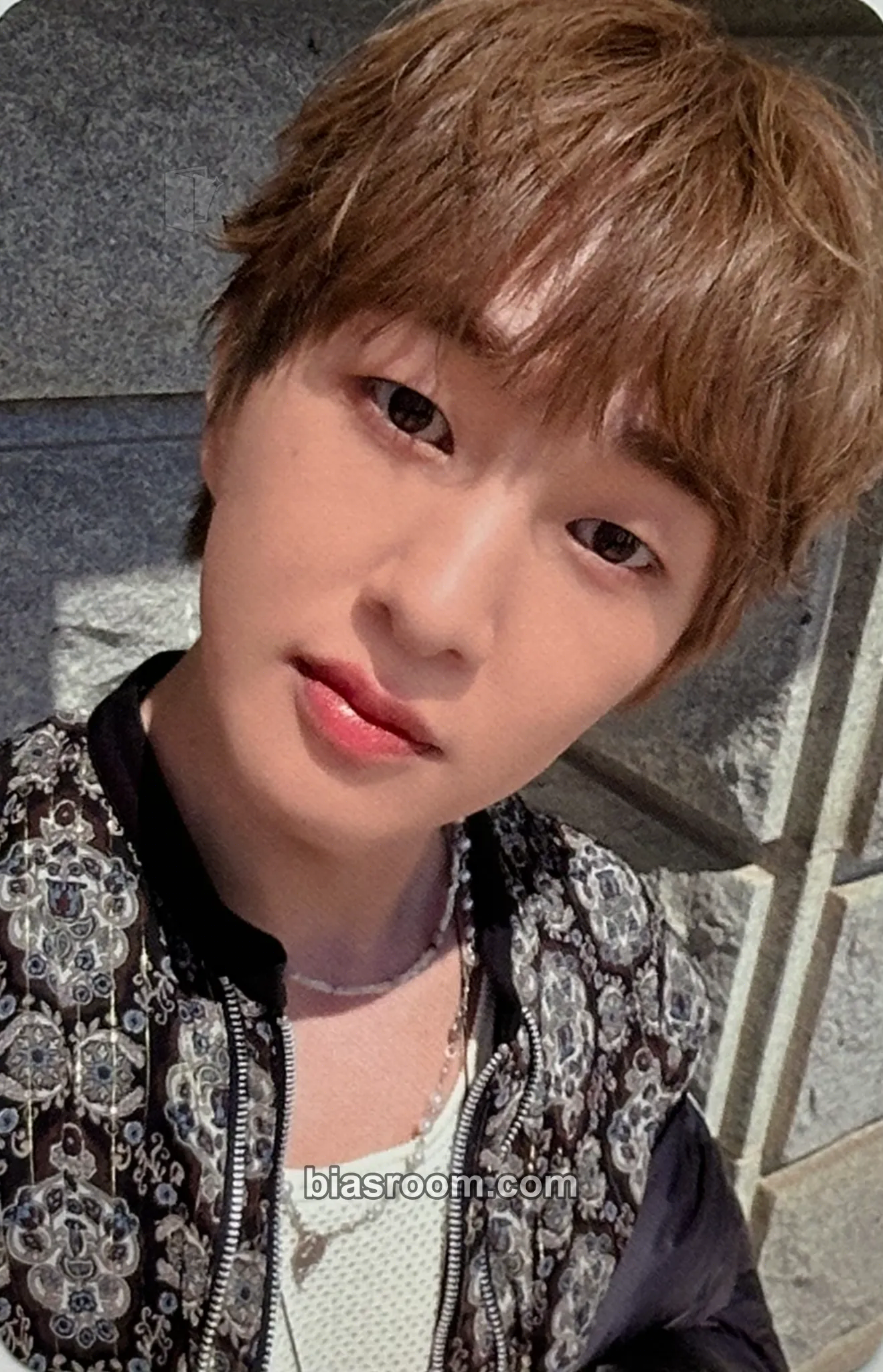 Onew Poet | Artist Photocard - SHINee - SHINee K-pop photocard