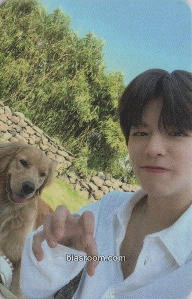 Seungmin ‘Stay In STAY’ in Jeju Third Photobook Photocard - Stray Kids - Stray Kids K-pop photocard