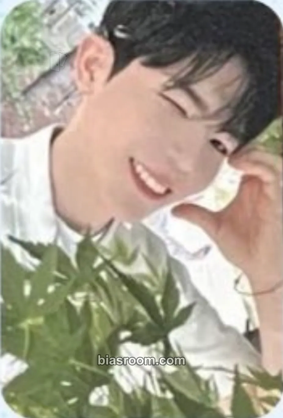 Chanyeon Big Ocean 1st Official MD Photocard - Big Ocean - Big Ocean K-pop photocard