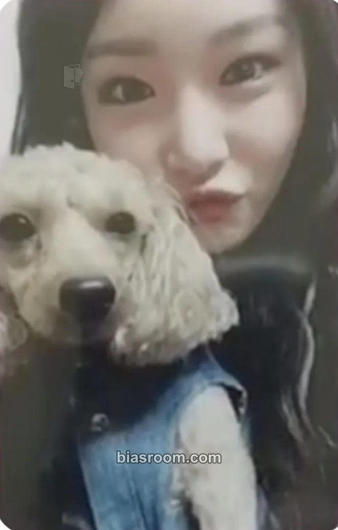 Chung Ha Hands on Me Photocard - Chung Ha K-pop photocard
