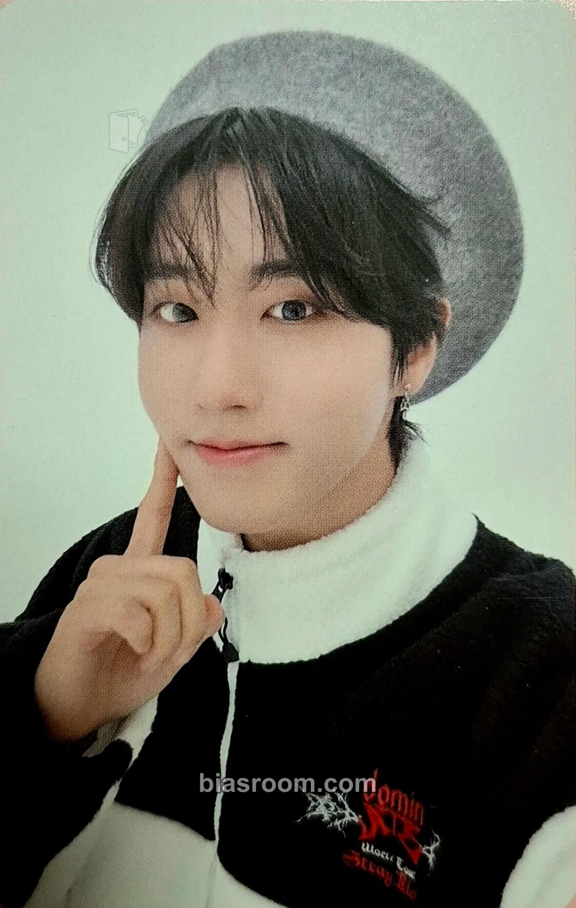 HAN GIANT Photocard - Stray Kids - Stray Kids K-pop photocard