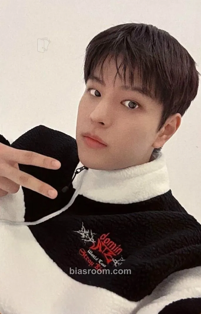 Seungmin GIANT Photocard - Stray Kids - Stray Kids K-pop photocard