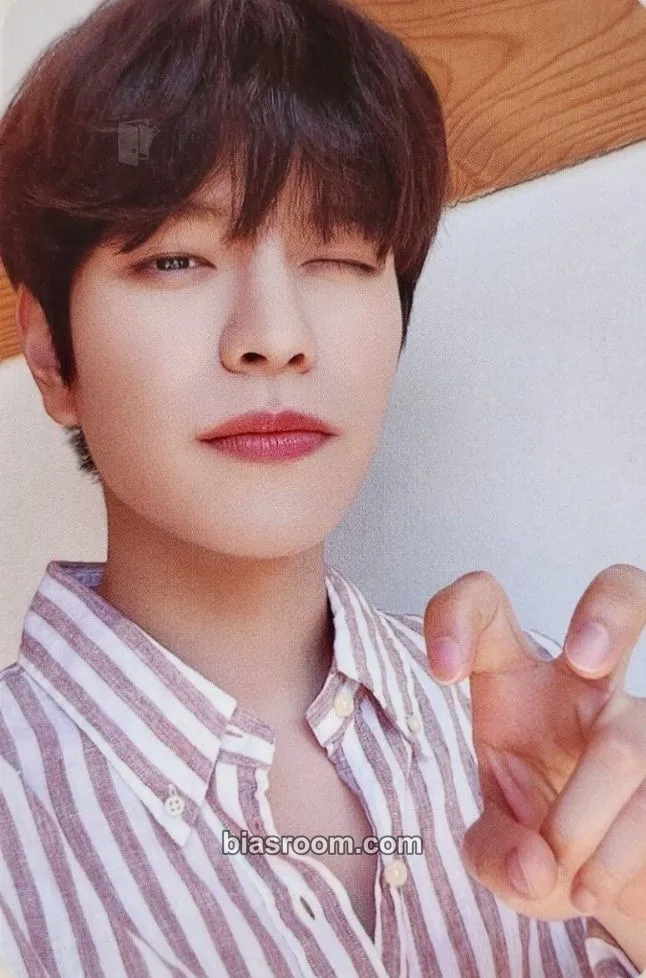 Seungmin NACIFIC x Stray Kids Photocard - Stray Kids - Stray Kids K-pop photocard