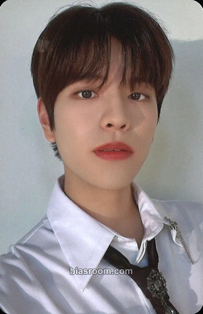 Seungmin NACIFIC x Stray Kids Photocard - Stray Kids - Stray Kids K-pop photocard