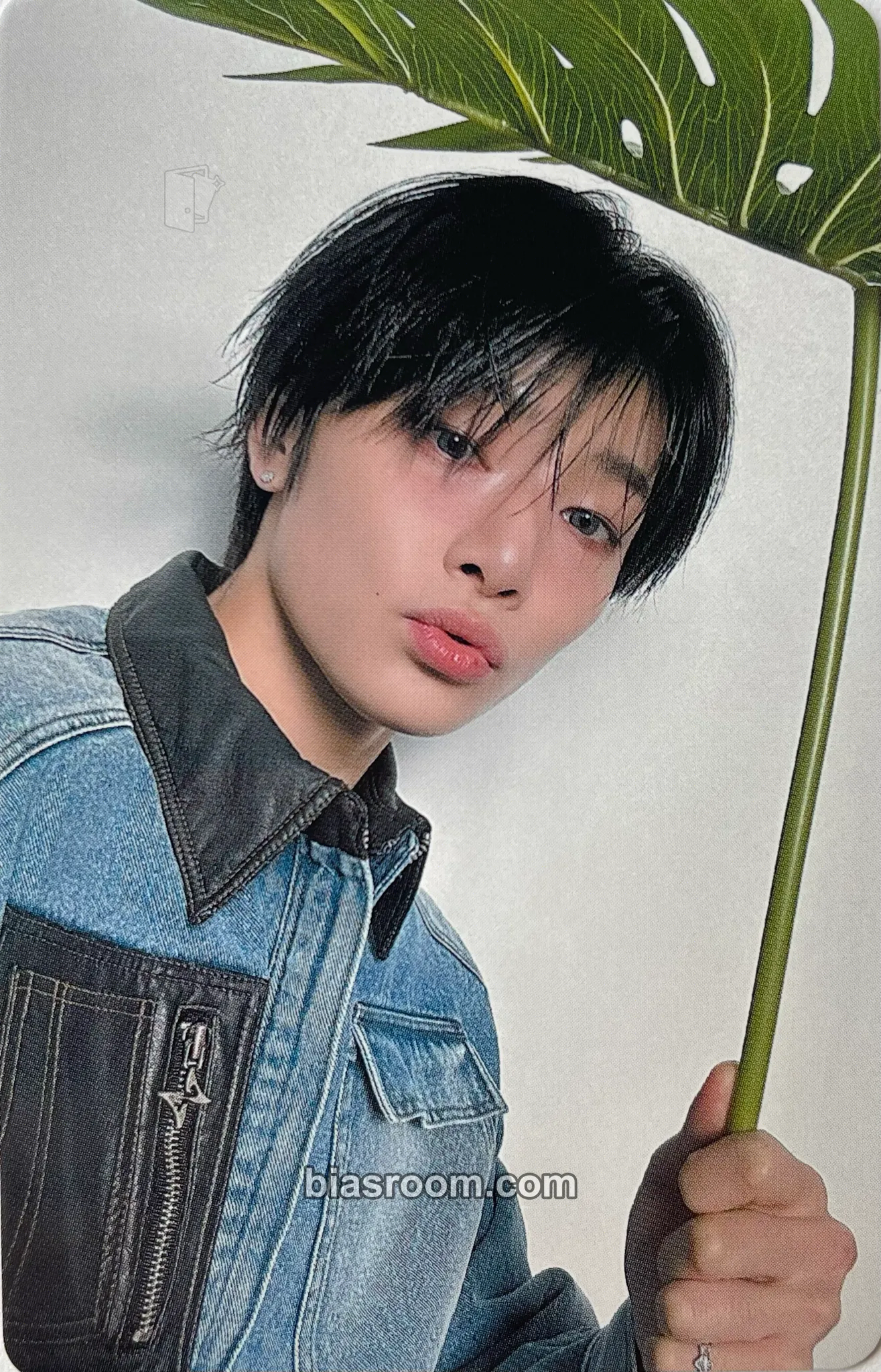 I.N Hollow Photocard - Stray Kids - Stray Kids K-pop photocard