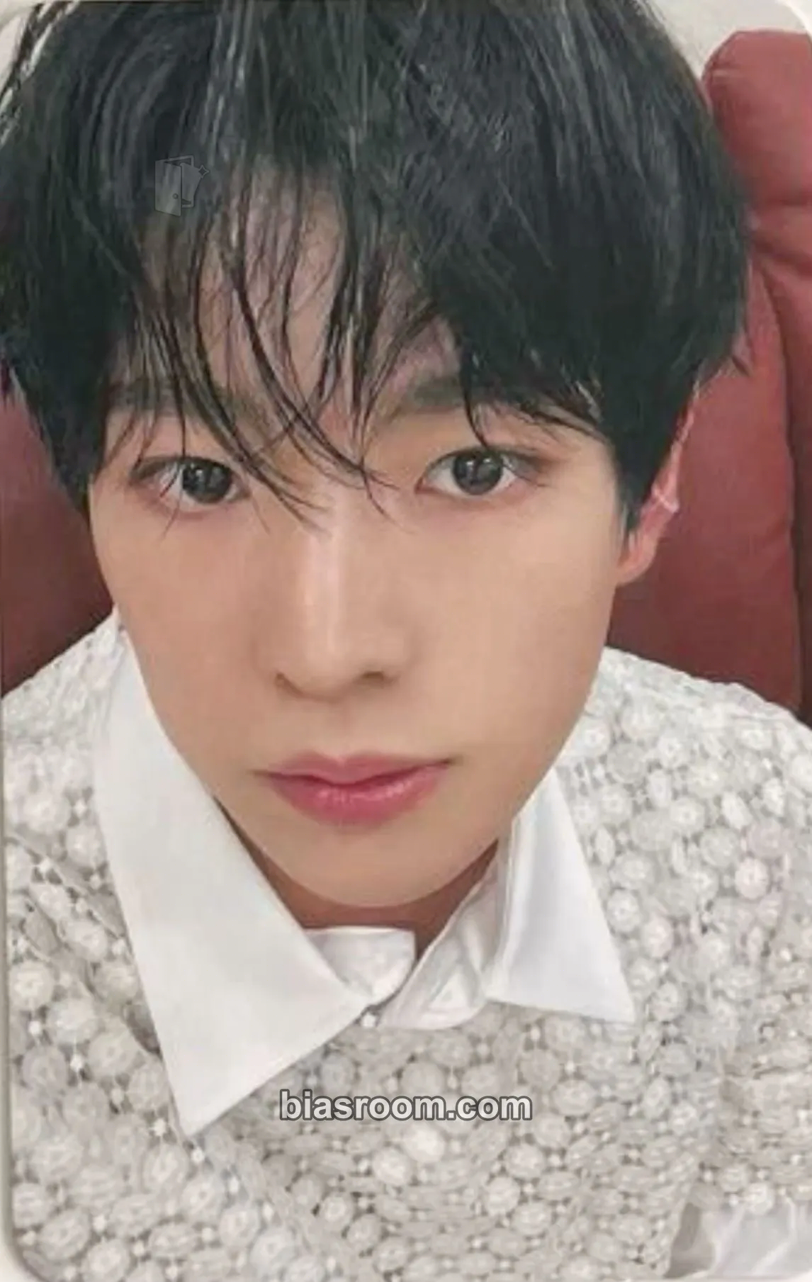 Yushi WISHFUL Photocard - NCT WISH - NCT WISH K-pop photocard