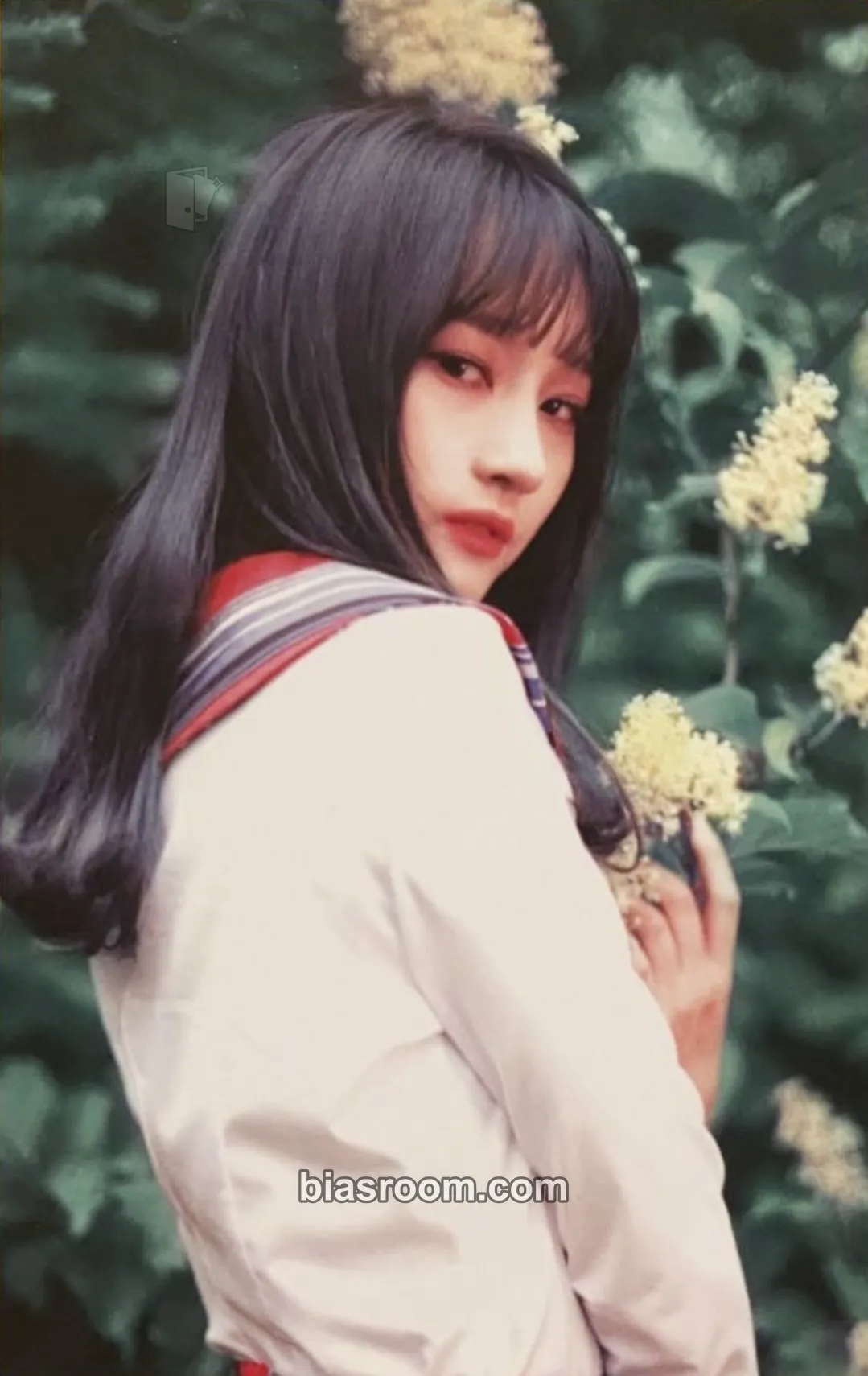 Siyeon Prequel Photocard - Dreamcatcher - Dreamcatcher K-pop photocard