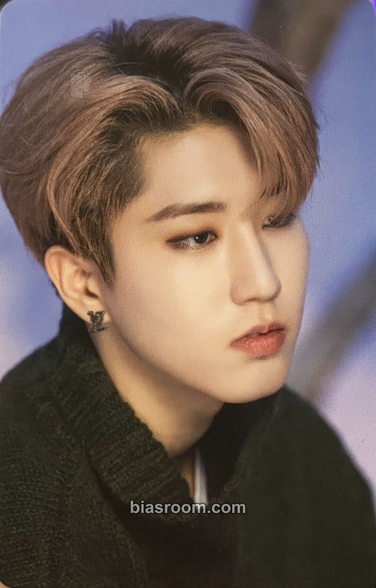 HAN DICON D'FESTA MINI VERSION Photocard - Stray Kids - Stray Kids K-pop photocard