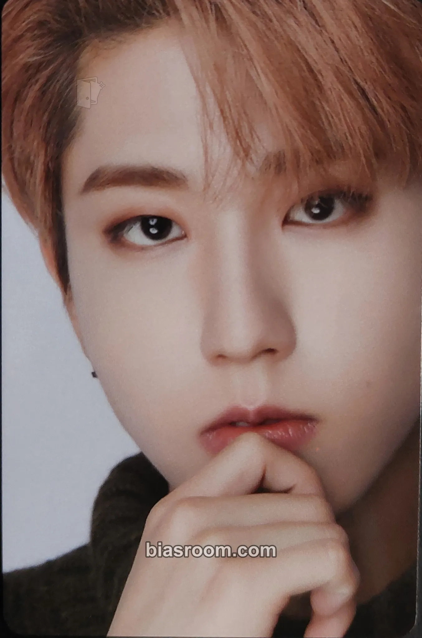 HAN DICON D'FESTA MINI VERSION Photocard - Stray Kids - Stray Kids K-pop photocard
