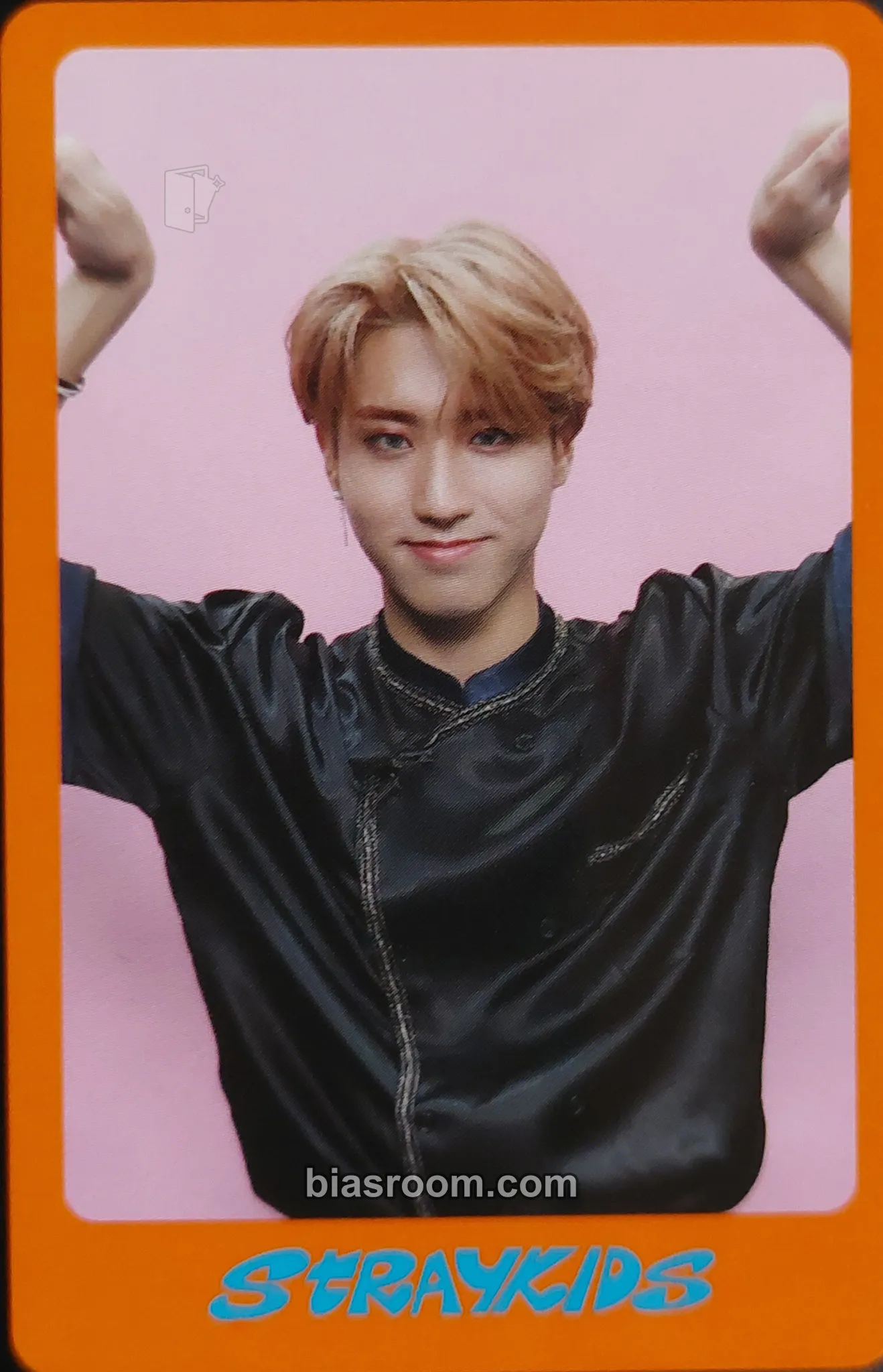 HAN DICON D'FESTA MINI VERSION Photocard - Stray Kids - Stray Kids K-pop photocard