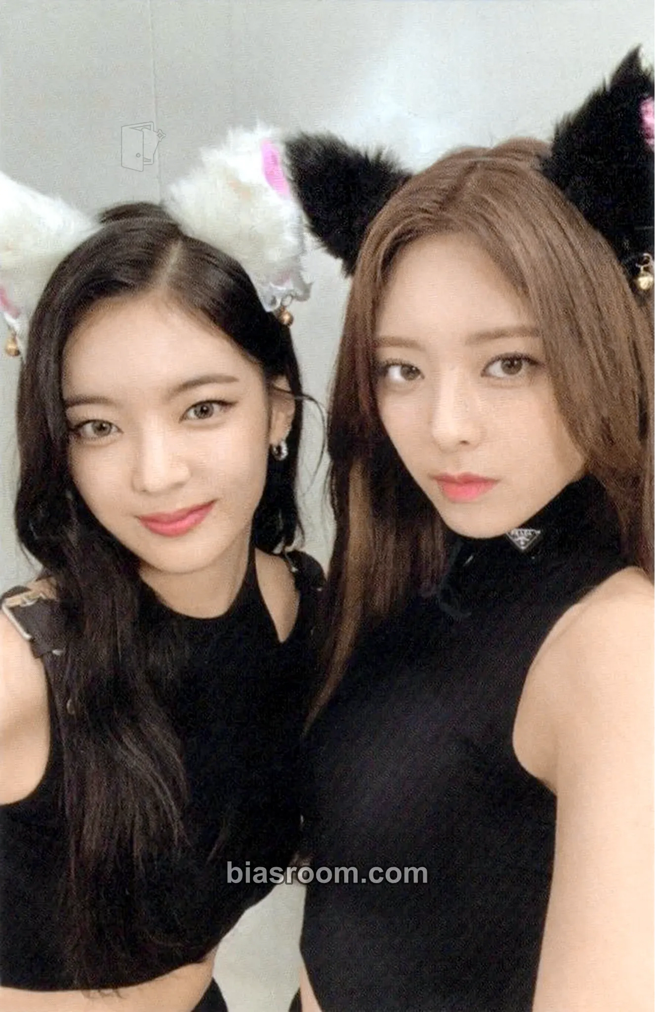 Cheshire Photocard - ITZY - ITZY K-pop photocard