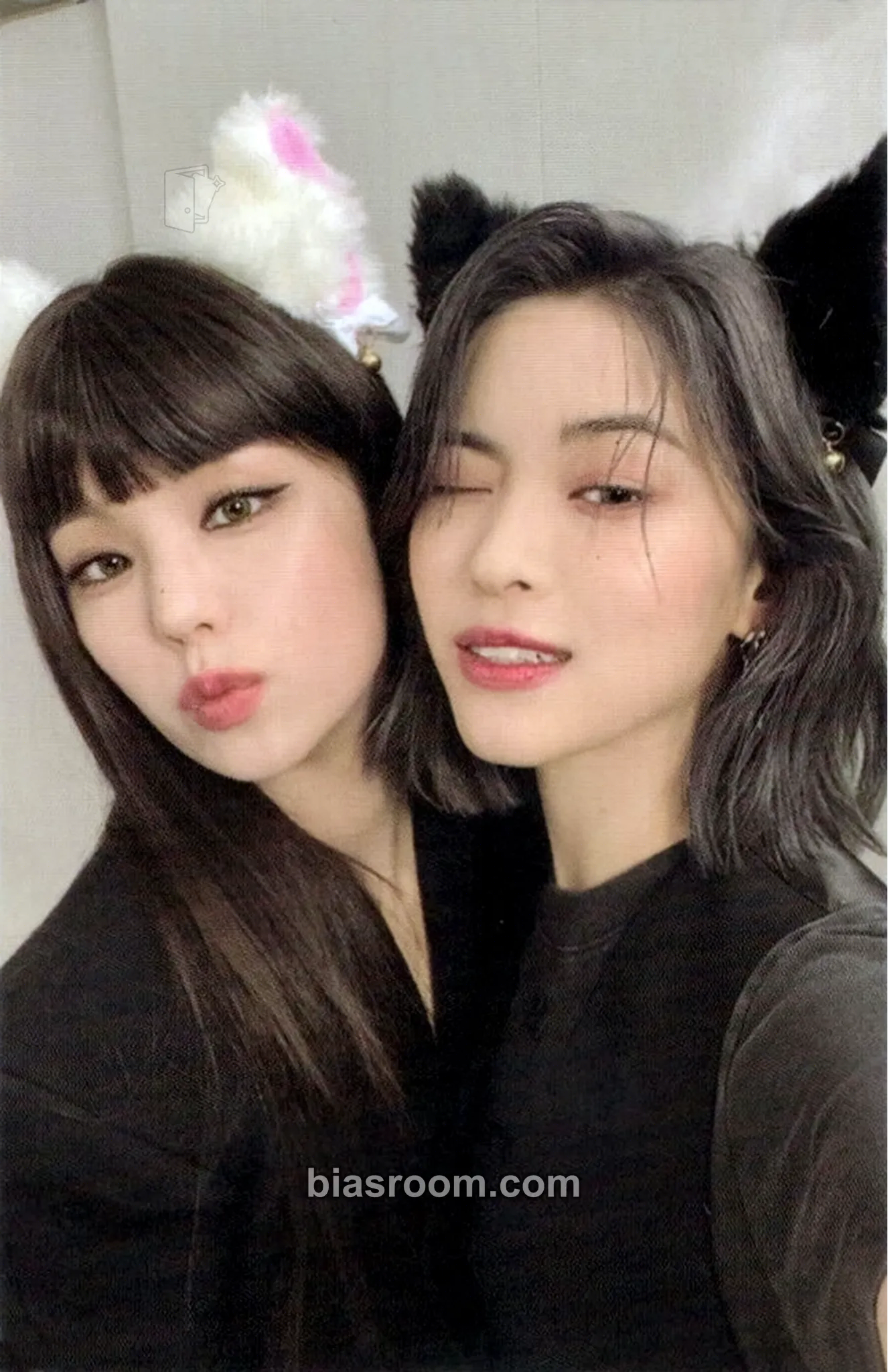 Cheshire Photocard - ITZY - ITZY K-pop photocard