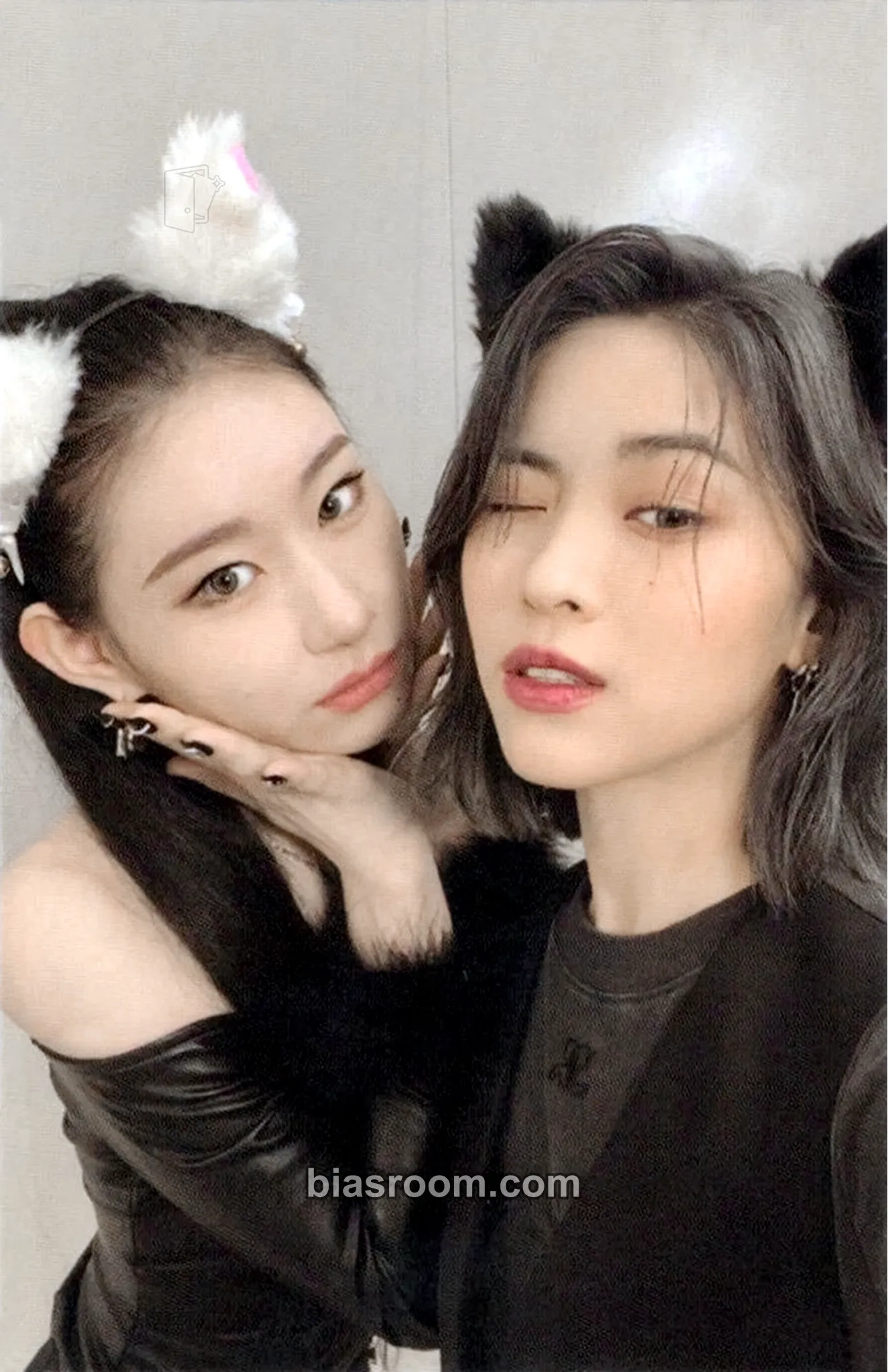 Cheshire Photocard - ITZY - ITZY K-pop photocard