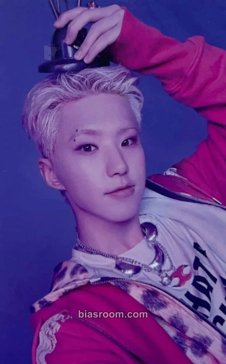 Hoshi Teleparty Photocard - SEVENTEEN - SEVENTEEN K-pop photocard