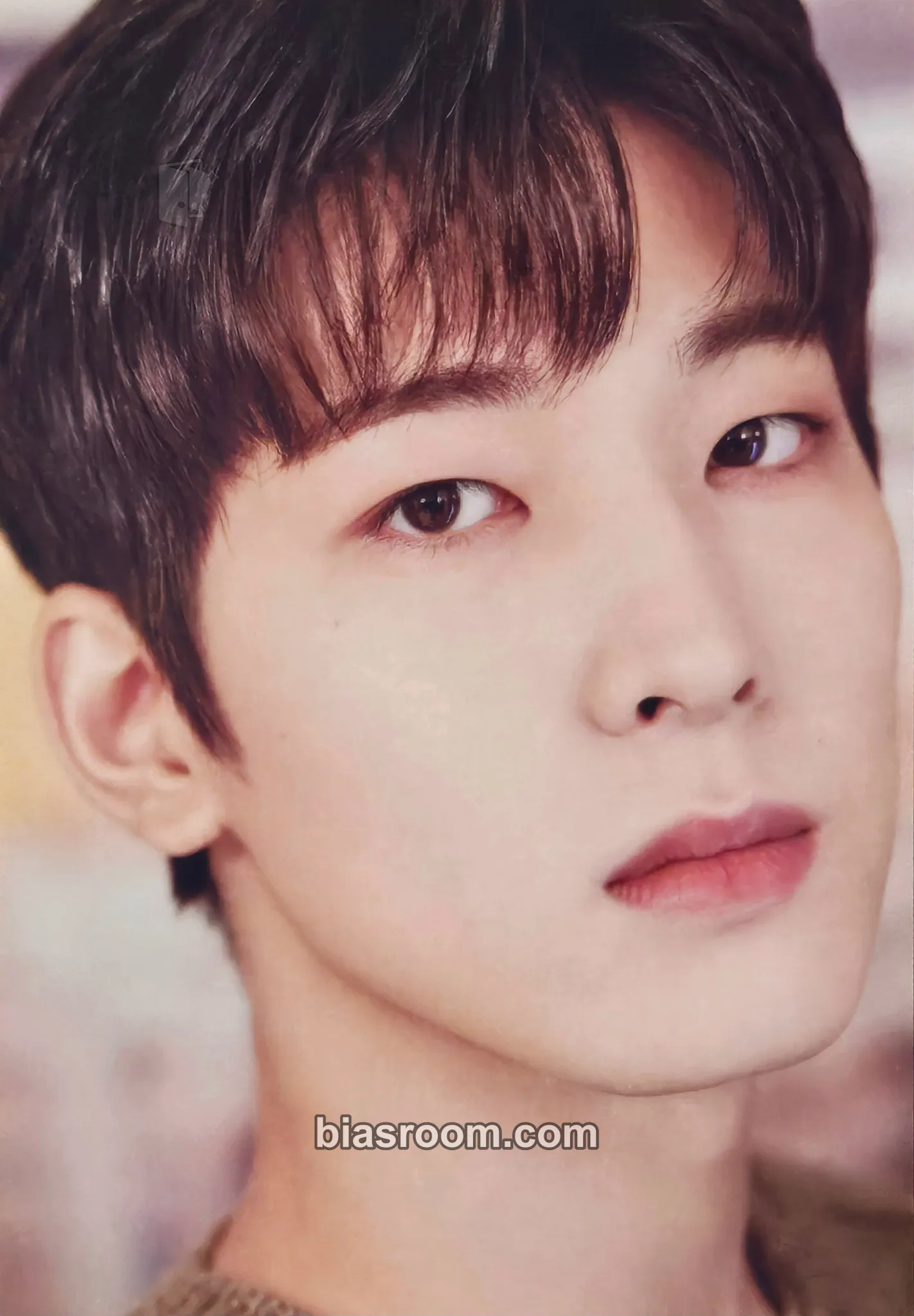 Wonwoo HYBE INSIGHT MUSEUM Photocard - SEVENTEEN - SEVENTEEN K-pop photocard