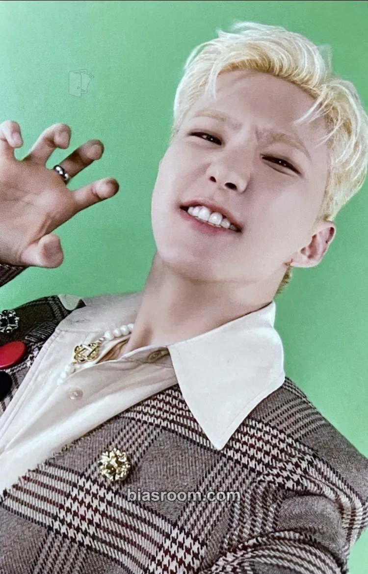 Hoshi Teleparty Photocard - SEVENTEEN - SEVENTEEN K-pop photocard