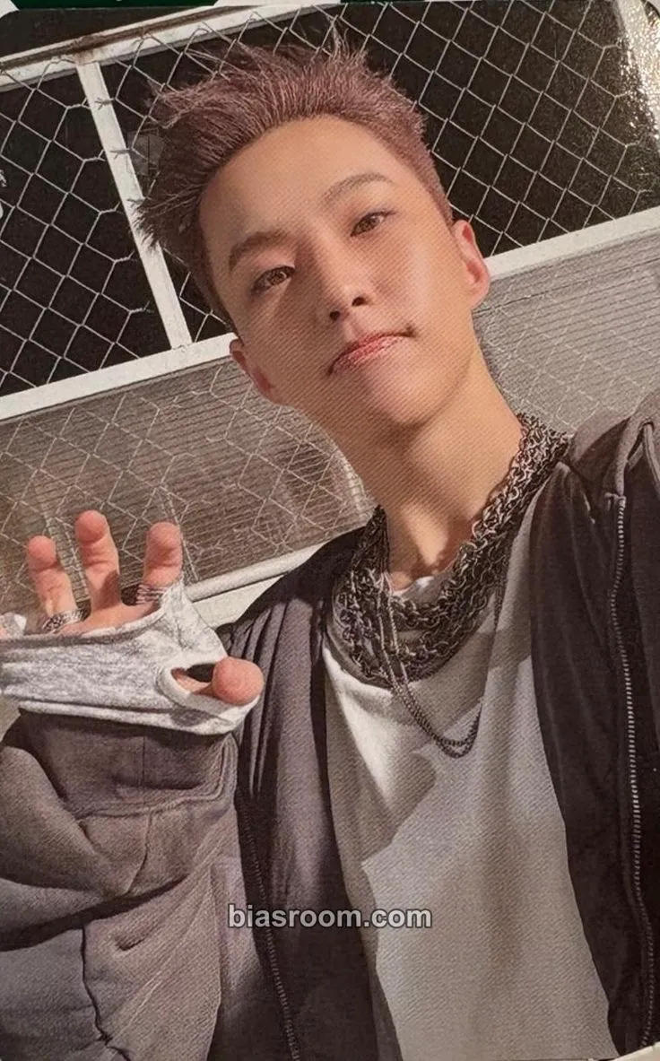 Hoshi HAPPY BURSTDAY Photocard - SEVENTEEN - SEVENTEEN K-pop photocard