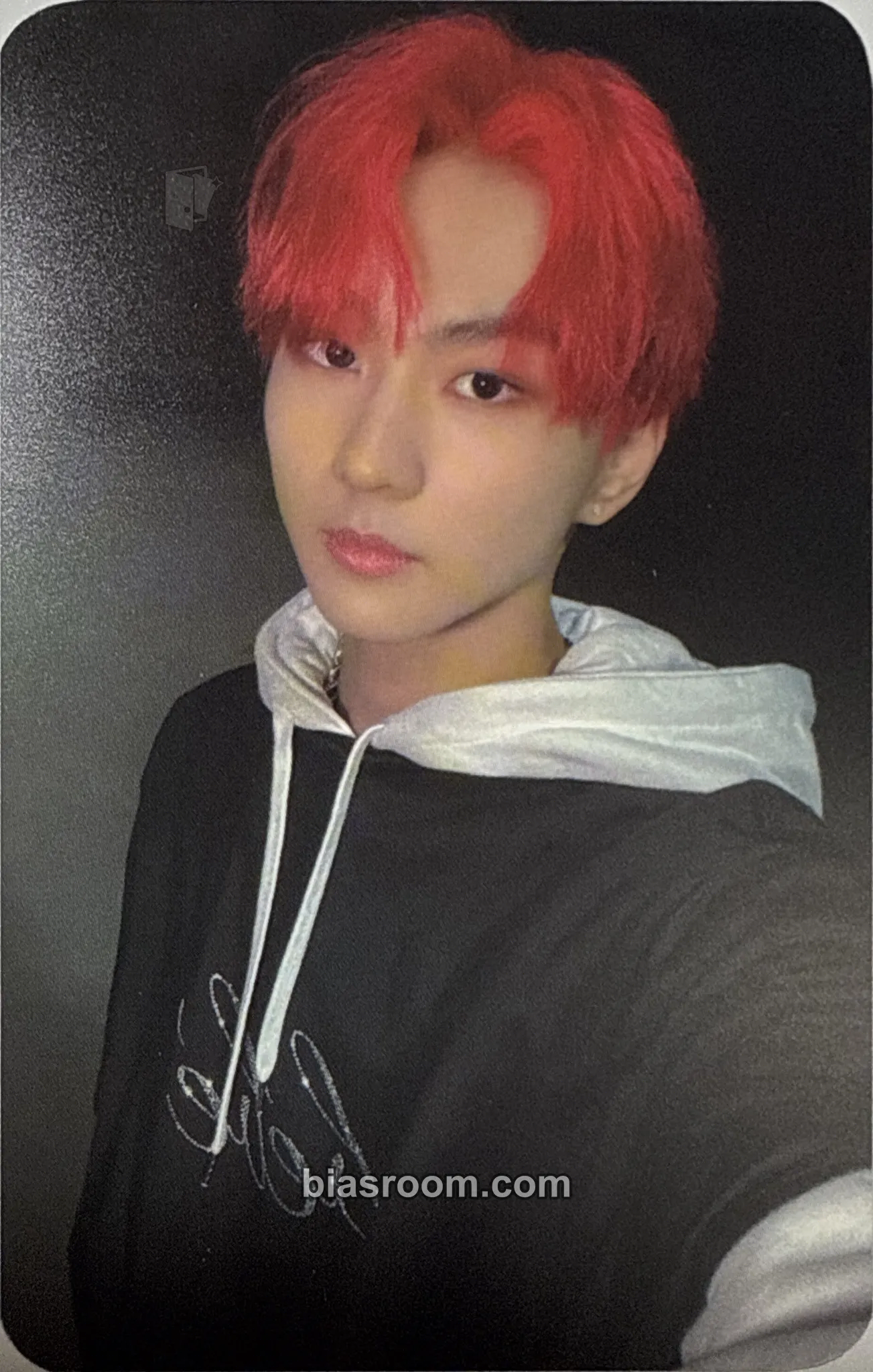 Jungwon MANIFESTO: DAY 1 Photocard - ENHYPEN - ENHYPEN K-pop photocard