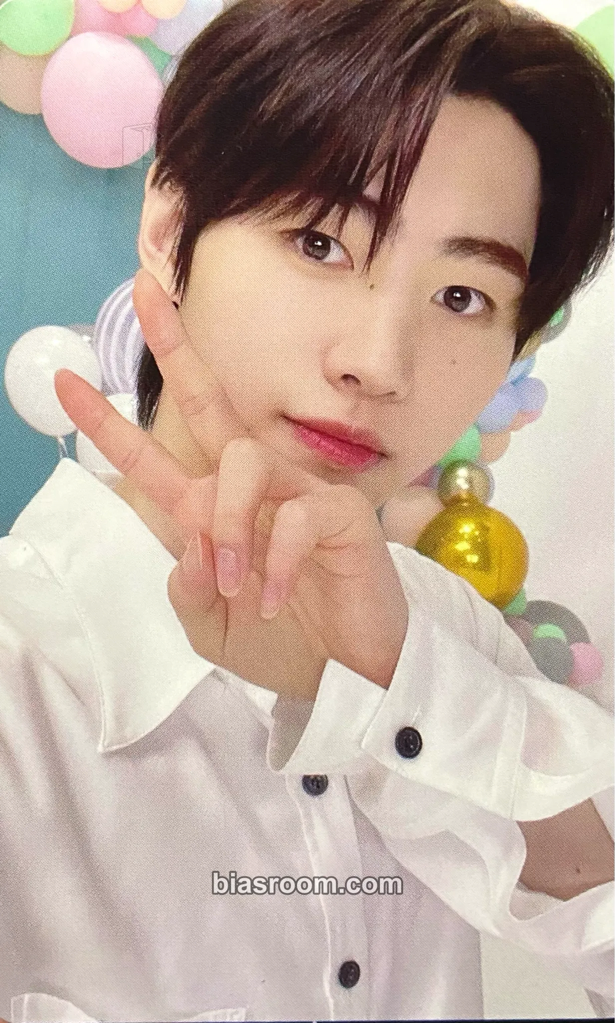Sunghoon BORDER: 儚い (HAKANAI) Photocard - ENHYPEN | Bias Room
