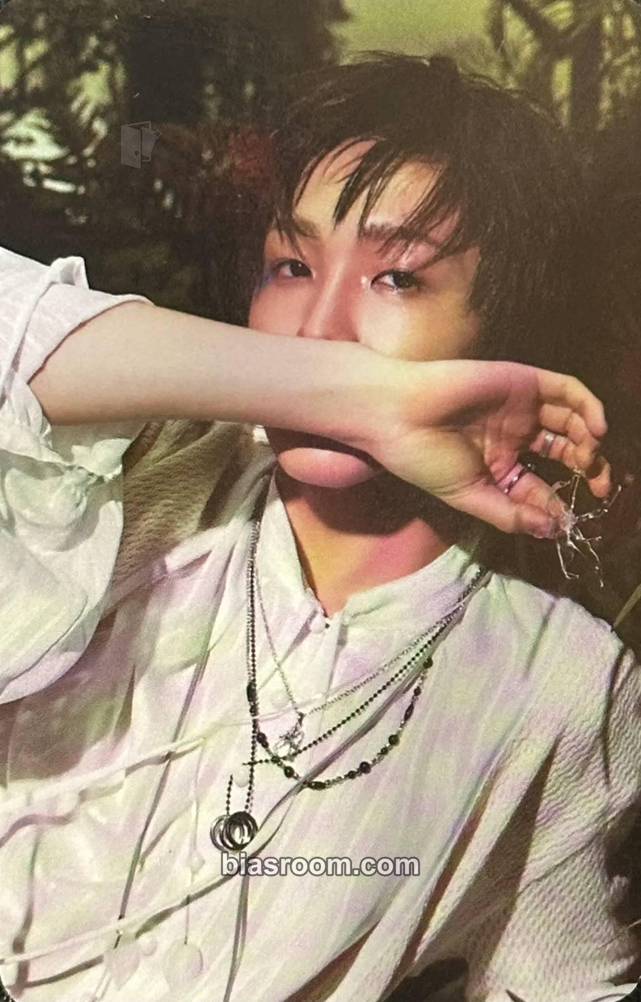 Soul Harmony: All In Photocard - P1Harmony - P1Harmony K-pop photocard
