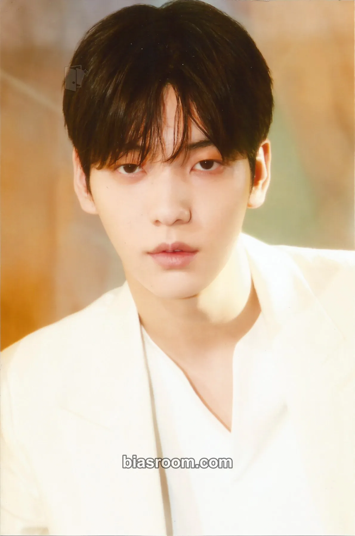 Soobin The Daydream Believers Photocard - TOMORROW X TOGETHER - TOMORROW X TOGETHER K-pop photocard