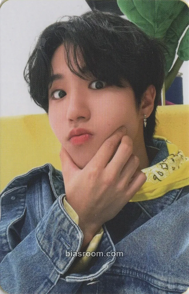 HAN 2023 Season's Greetings - SKZ's Mini World Photocard - Stray Kids - Stray Kids K-pop photocard