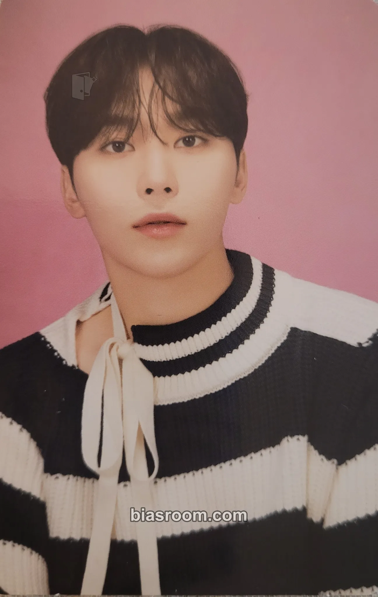 Seungkwan 2024 8TH SVT IN CARAT LAND Photocard - SEVENTEEN - SEVENTEEN K-pop photocard