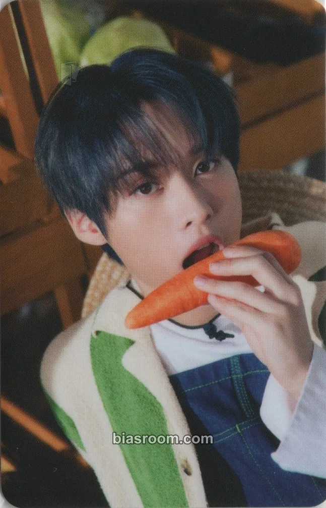 Lee Know 2023 Season's Greetings - SKZ's Mini World Photocard - Stray Kids - Stray Kids K-pop photocard