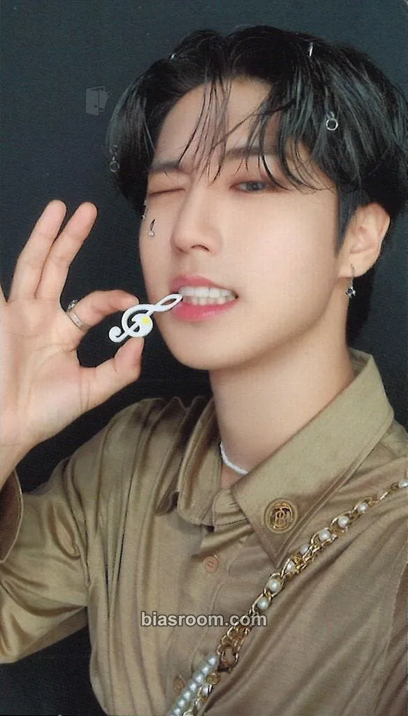 HAN The Sound Photocard - Stray Kids - Stray Kids K-pop photocard