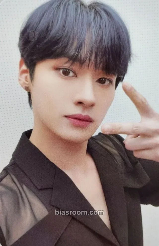 Stray Kids - Lee Know - Green Project Other pob (pre-order benefit) green project jyp shop