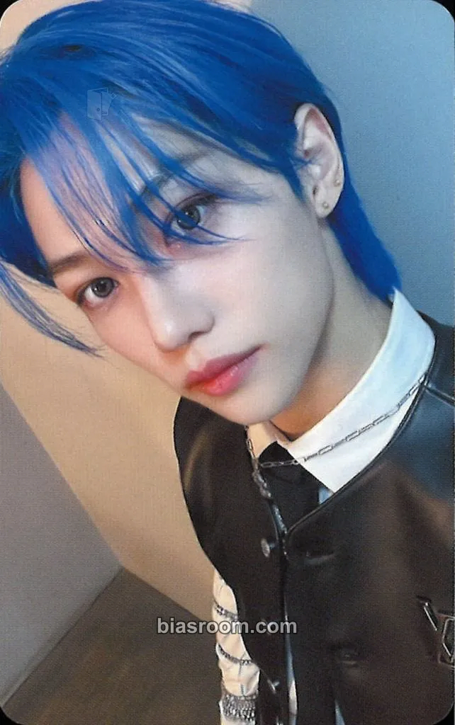 Felix 5-Star Dome Tour 2023 Photocard - Stray Kids - Stray Kids K-pop photocard