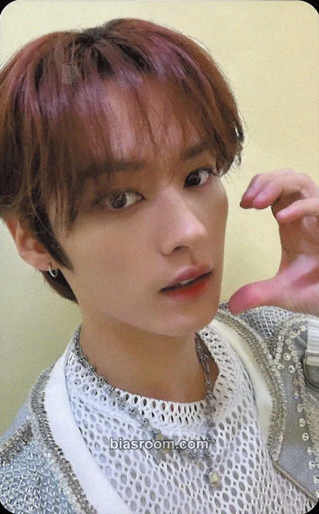 Lee Know 5-Star Dome Tour 2023 Photocard - Stray Kids - Stray Kids K-pop photocard