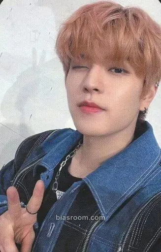 Seungmin 5-Star Dome Tour 2023 Photocard - Stray Kids - Stray Kids K-pop photocard