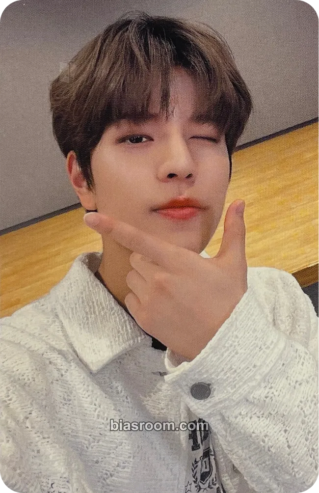 Seungmin 5-Star Dome Tour 2023 Photocard - Stray Kids - Stray Kids K-pop photocard