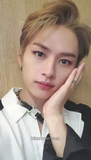 Lee Know Scars Photocard - Stray Kids - Stray Kids K-pop photocard
