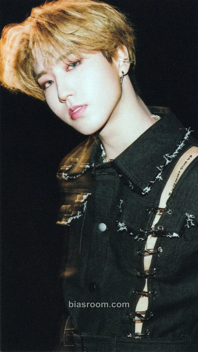 Stray Kids - HAN - Scars Album album photocard regular version
