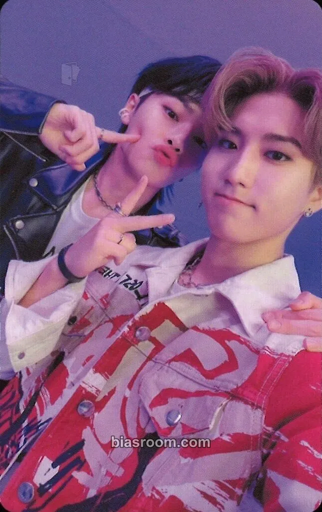Scars Photocard - Stray Kids - Stray Kids K-pop photocard