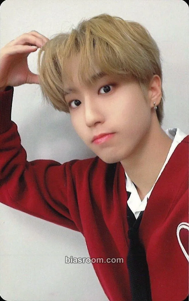 HAN The Sound Photocard - Stray Kids - Stray Kids K-pop photocard
