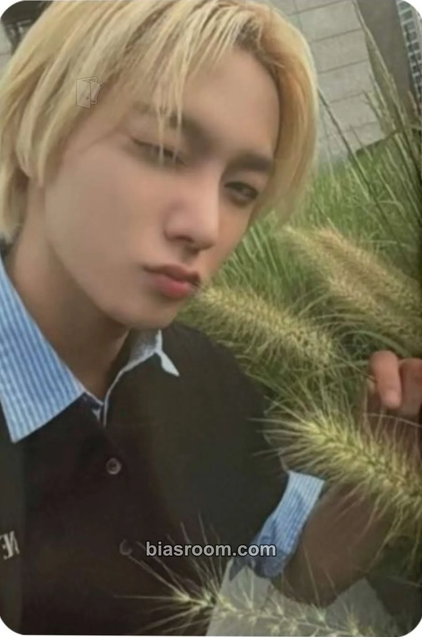 Sungho The Action Photocard - BOYNEXTDOOR - BOYNEXTDOOR K-pop photocard