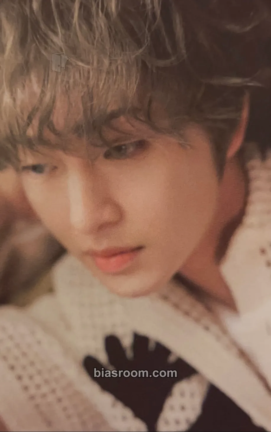 Onew Circle Photocard - SHINee - SHINee K-pop photocard
