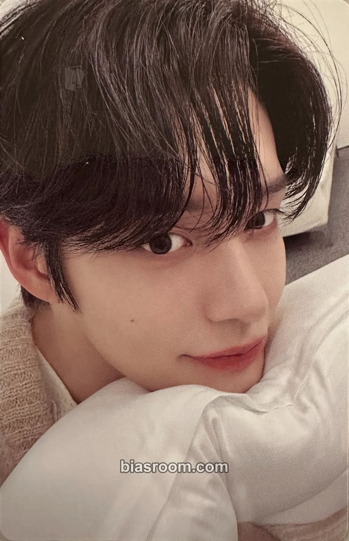 Jiwoong 2024 Seasons Greetings 'Good Night' Photocard - ZEROBASEONE - ZEROBASEONE K-pop photocard