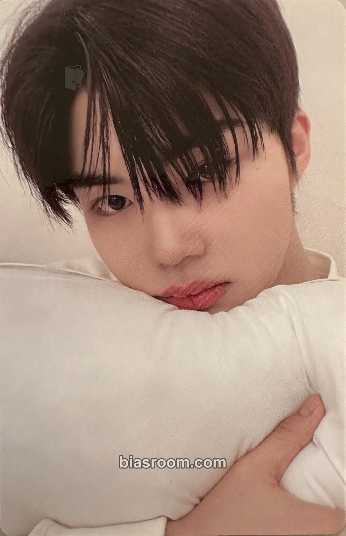 Gunwook 2024 Seasons Greetings 'Good Night' Photocard - ZEROBASEONE - ZEROBASEONE K-pop photocard